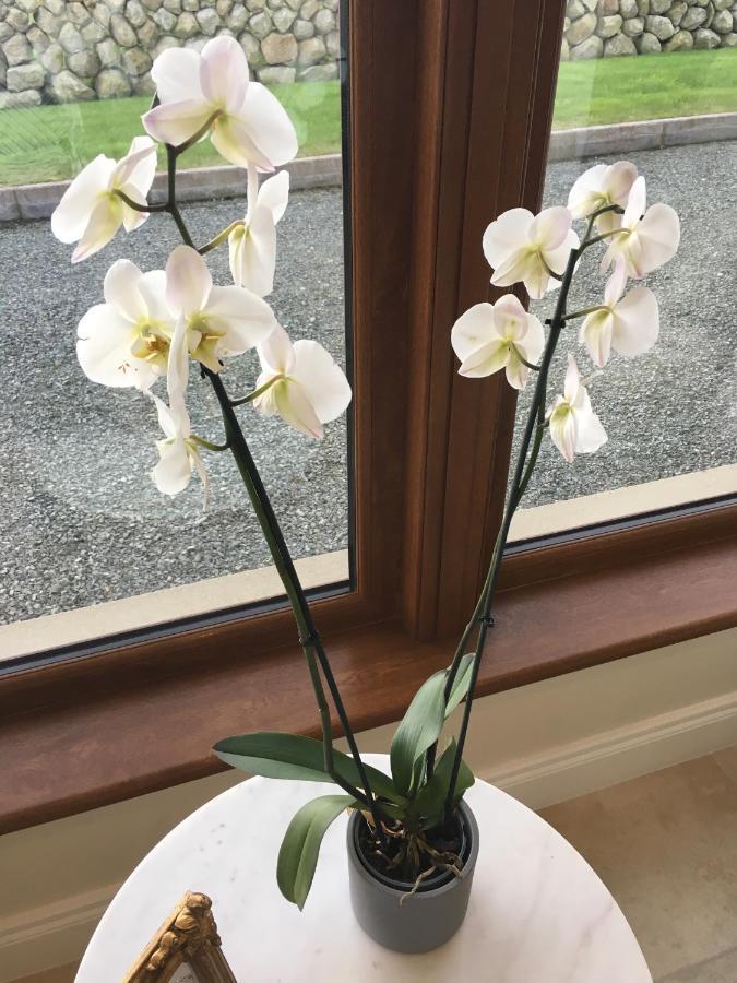 Mourne Country House Bed And Breakfast Kilkeel Exteriör bild